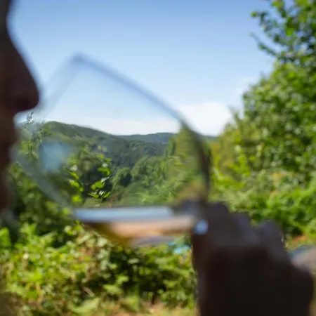 Luxury tent Domaine Le Peyral - Tente Boheme La Salvetat-sur-Agout